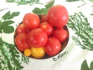 Tomaten aus dem Garten 