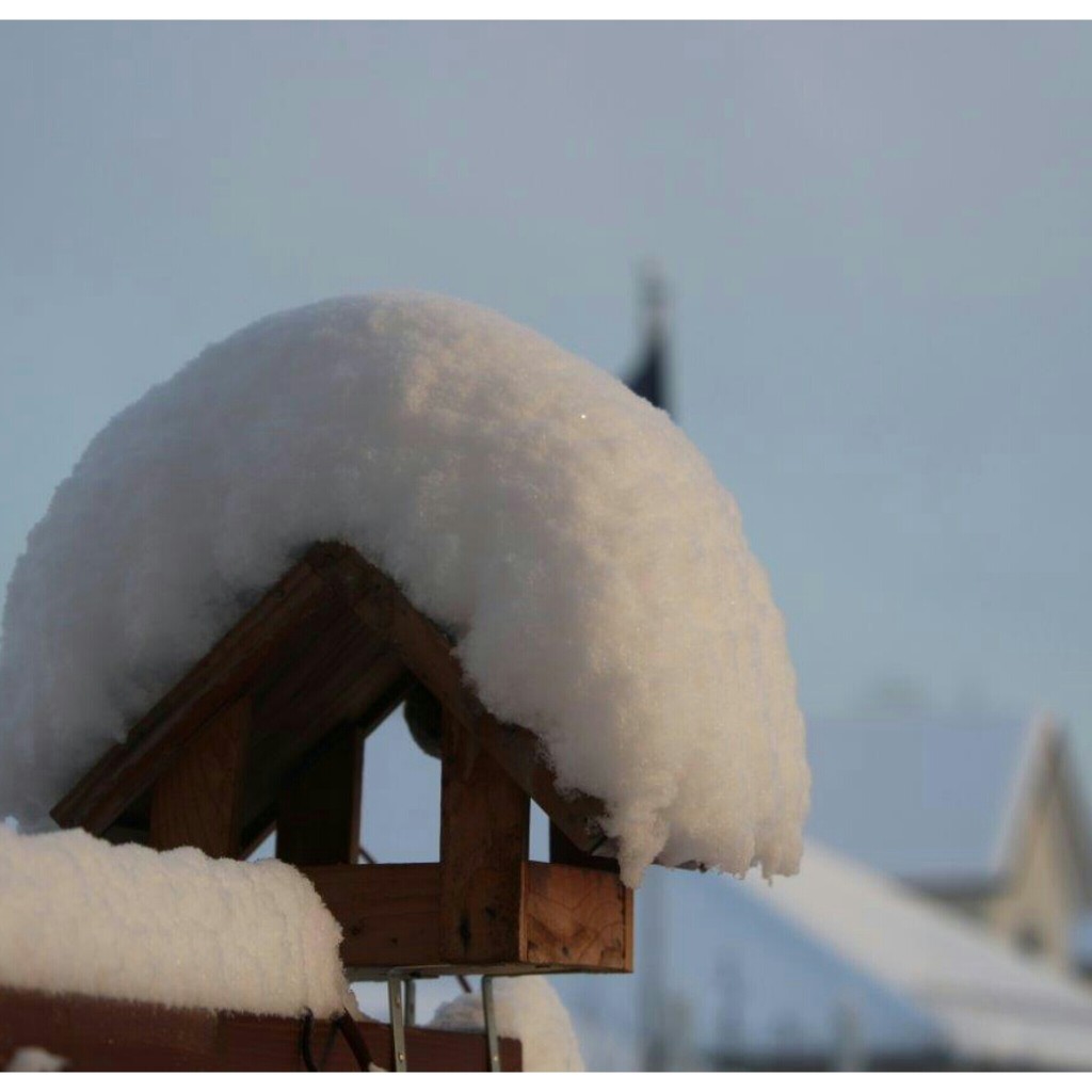 Vogelhaus im Schnee